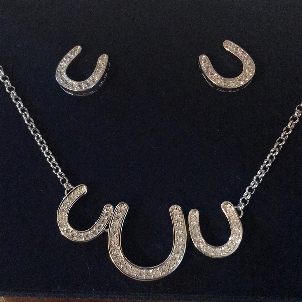 Horse shoe necklace and earring set